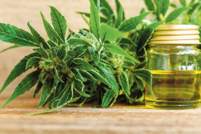 Les produits à base de CBD et leurs nombreuses vertus