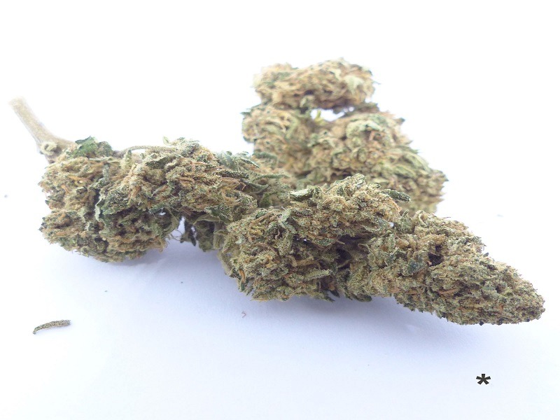 Petit focus sur les vertus des fleurs de cannabis CBD